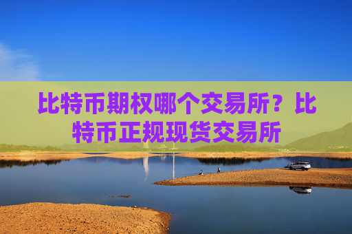 比特币期权哪个交易所？比特币正规现货交易所