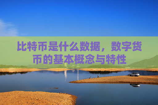 比特币是什么数据，数字货币的基本概念与特性