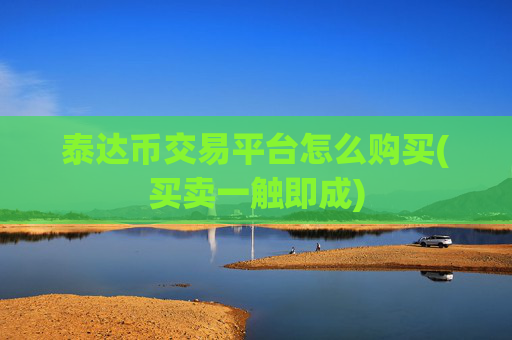 泰达币交易平台怎么购买(买卖一触即成)