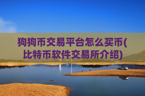 狗狗币交易平台怎么买币(比特币软件交易所介绍)