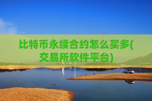 比特币永续合约怎么买多(交易所软件平台)