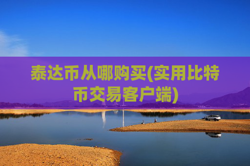 泰达币从哪购买(实用比特币交易客户端)