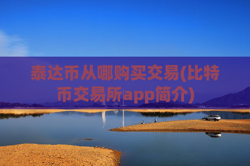 泰达币从哪购买交易(比特币交易所app简介)