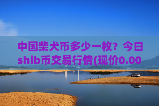 中国柴犬币多少一枚?今日shib币交易行情(现价0.00023176元)