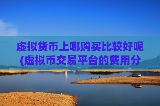 虚拟货币上哪购买比较好呢(虚拟币交易平台的费用分析)