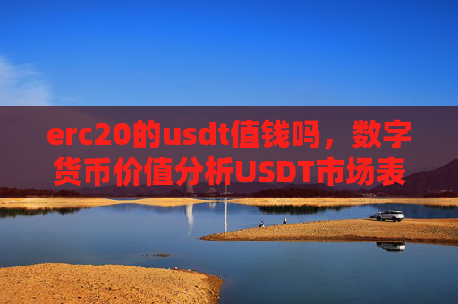 erc20的usdt值钱吗,数字货币价值分析USDT市场表现