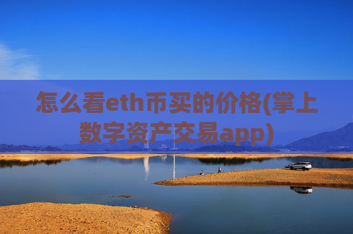 怎么看eth币买的价格(掌上数字资产交易app)