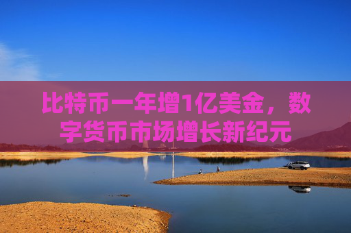 比特币一年增1亿美金,数字货币市场增长新纪元