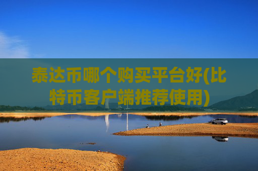 泰达币哪个购买平台好(比特币客户端推荐使用)