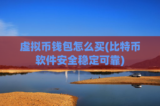 虚拟币钱包怎么买(比特币软件安全稳定可靠)