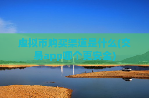 虚拟币购买渠道是什么(交易app哪个更安全)