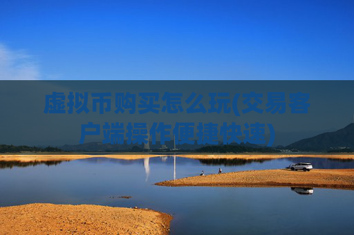 虚拟币购买怎么玩(交易客户端操作便捷快速)