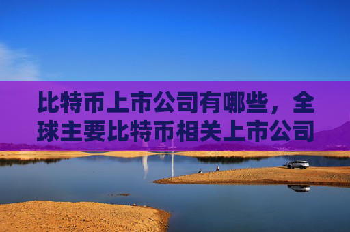比特币上市公司有哪些,全球主要比特币相关上市公司