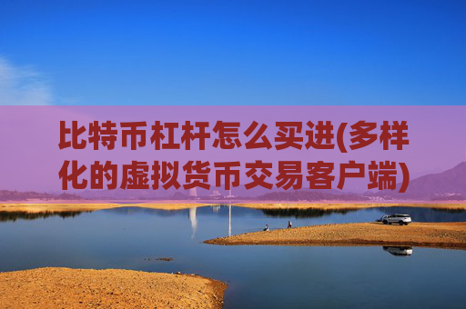 比特币杠杆怎么买进(多样化的虚拟货币交易客户端)