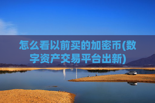 怎么看以前买的加密币(数字资产交易平台出新)