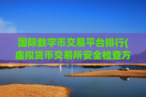 国际数字币交易平台排行(虚拟货币交易所安全检查方法)
