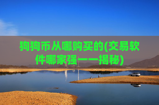 狗狗币从哪购买的(交易软件哪家强一一揭秘)