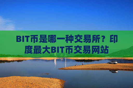 BIT币是哪一种交易所?印度最大BIT币交易网站