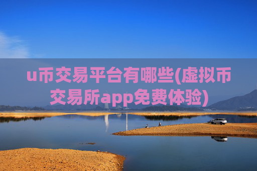 u币交易平台有哪些(虚拟币交易所app免费体验)