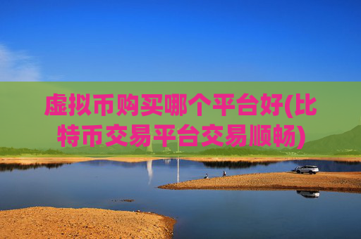 虚拟币购买哪个平台好(比特币交易平台交易顺畅)