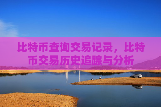 比特币查询交易记录,比特币交易历史追踪与分析