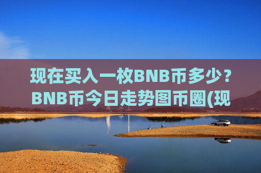 现在买入一枚BNB币多少?BNB币今日走势图币圈(现价5272.5元)