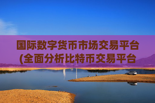 国际数字货币市场交易平台(全面分析比特币交易平台)