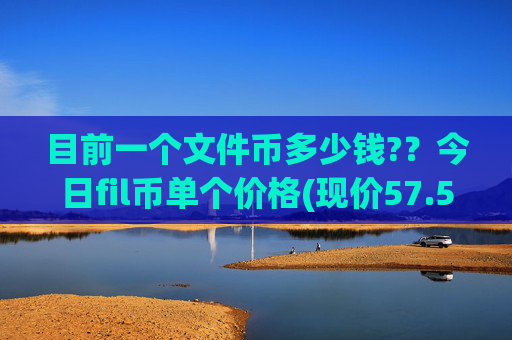 目前一个文件币多少钱??今日fil币单个价格(现价57.5367元)