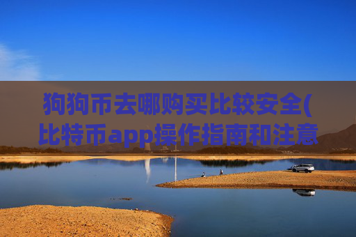 狗狗币去哪购买比较安全(比特币app操作指南和注意事项)