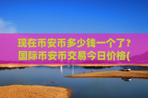 现在币安币多少钱一个了?国际币安币交易今日价格(现价4825.17元)