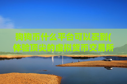 狗狗币什么平台可以买到(体验顶尖的虚拟货币交易所)