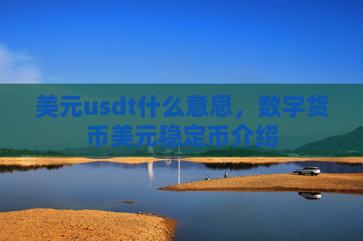 美元usdt什么意思,数字货币美元稳定币介绍