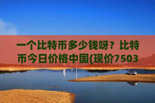 一个比特币多少钱呀？比特币今日价格中国(现价750383.73元)