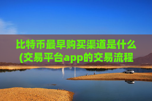 比特币最早购买渠道是什么(交易平台app的交易流程解读)