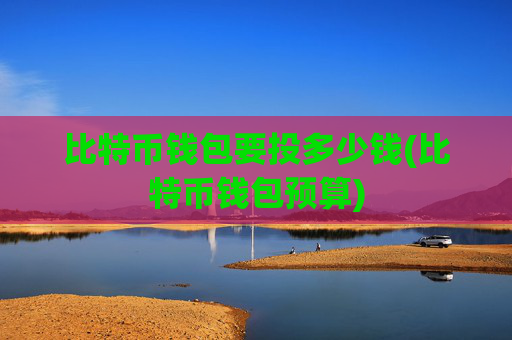 比特币钱包要投多少钱(比特币钱包预算)
