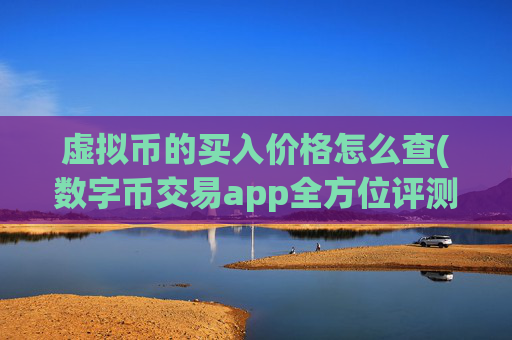 虚拟币的买入价格怎么查(数字币交易app全方位评测)