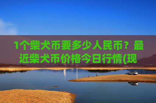1个柴犬币要多少人民币?最近柴犬币价格今日行情(现价0.00022946元)