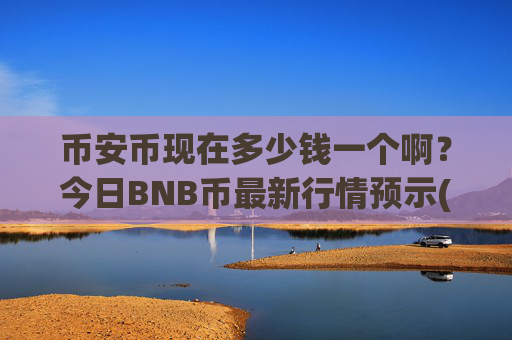 币安币现在多少钱一个啊?今日BNB币最新行情预示(现价5270.13元)