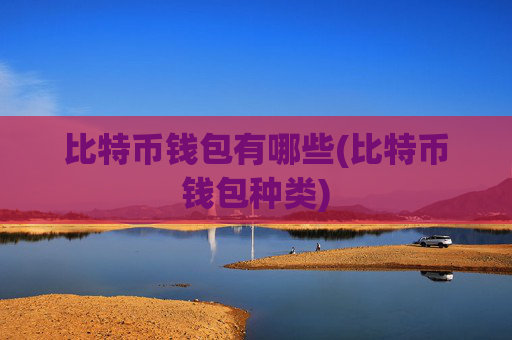 比特币钱包有哪些(比特币钱包种类)