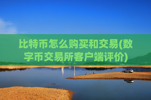 比特币怎么购买和交易(数字币交易所客户端评价)