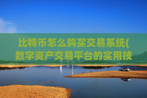 比特币怎么购买交易系统(数字资产交易平台的实用技巧)
