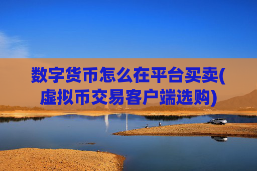 数字货币怎么在平台买卖(虚拟币交易客户端选购)