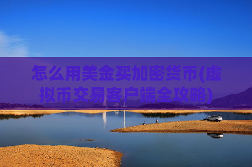 怎么用美金买加密货币(虚拟币交易客户端全攻略)