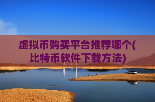 虚拟币购买平台推荐哪个(比特币软件下载方法)