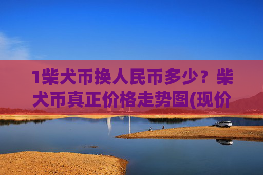1柴犬币换人民币多少?柴犬币真正价格走势图(现价0.00022878元)