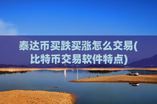 泰达币买跌买涨怎么交易(比特币交易软件特点)
