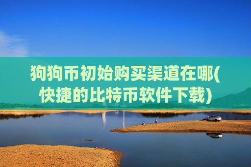 狗狗币初始购买渠道在哪(快捷的比特币软件下载)