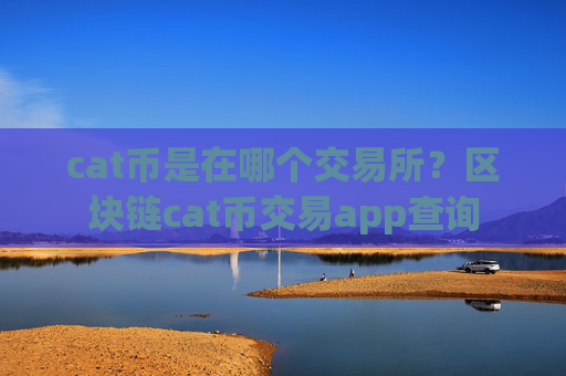 cat币是在哪个交易所?区块链cat币交易app查询