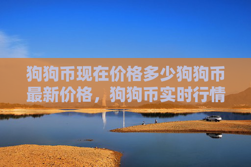 狗狗币现在价格多少狗狗币最新价格,狗狗币实时行情更新