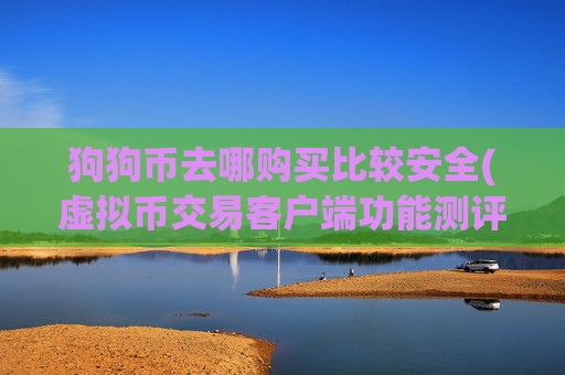 狗狗币去哪购买比较安全(虚拟币交易客户端功能测评)